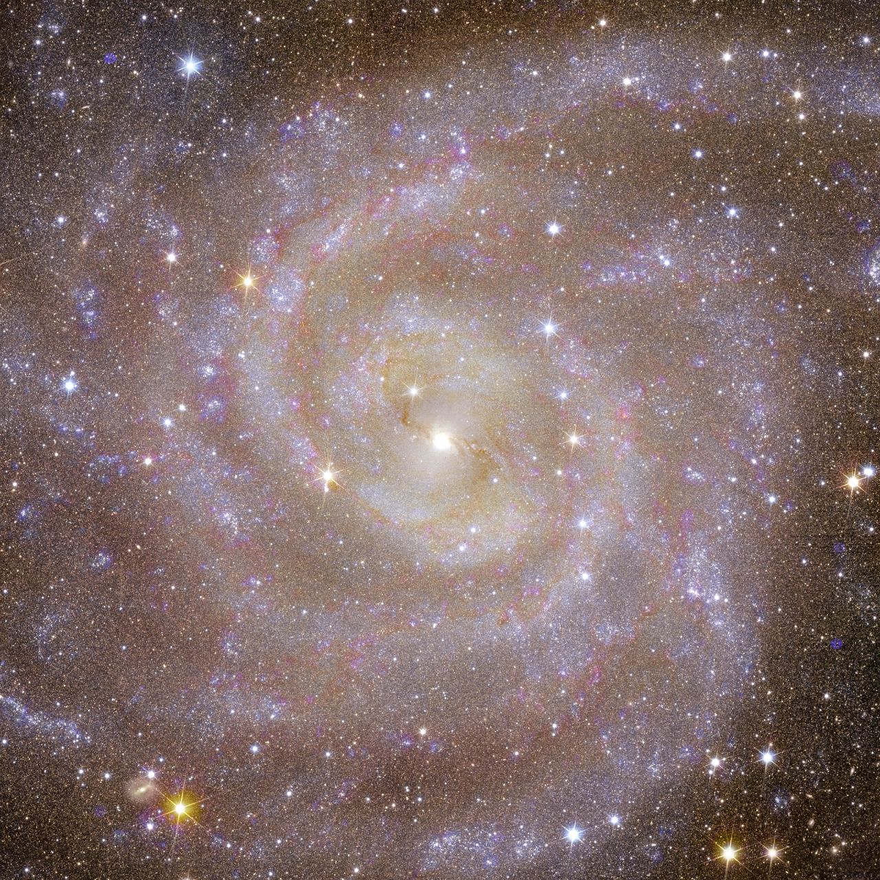 Euclid's view of the spiral galaxy IC 342, known as the "Hidden Galaxy," which is similar to the Milky Way.