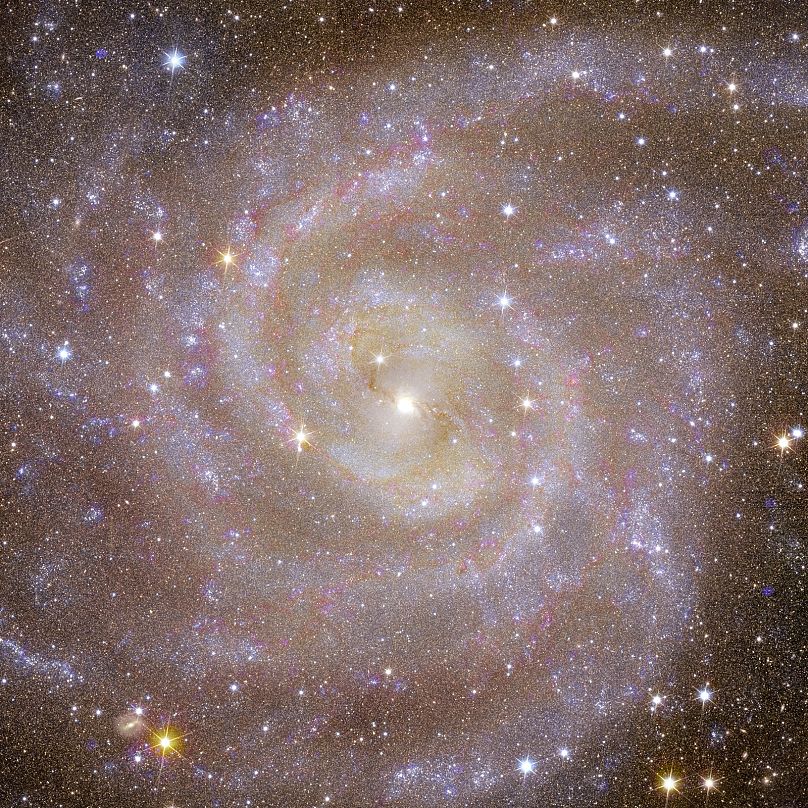 Euklids Ansicht der Spiralgalaxie IC 342, auch bekannt als "Verborgene Galaxie", die der Milchstraße ähnlich ist.