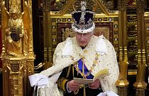 ملك بريطانيا تشارلز الثالث يتحدث خلال الافتتاح الرسمي للبرلمان في قصر وستمنستر في لندن،7 نوفمبر 2023