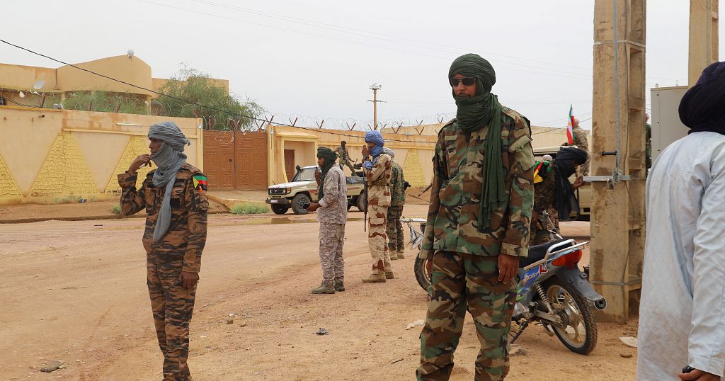 Mali: airstrikes kill several civilians