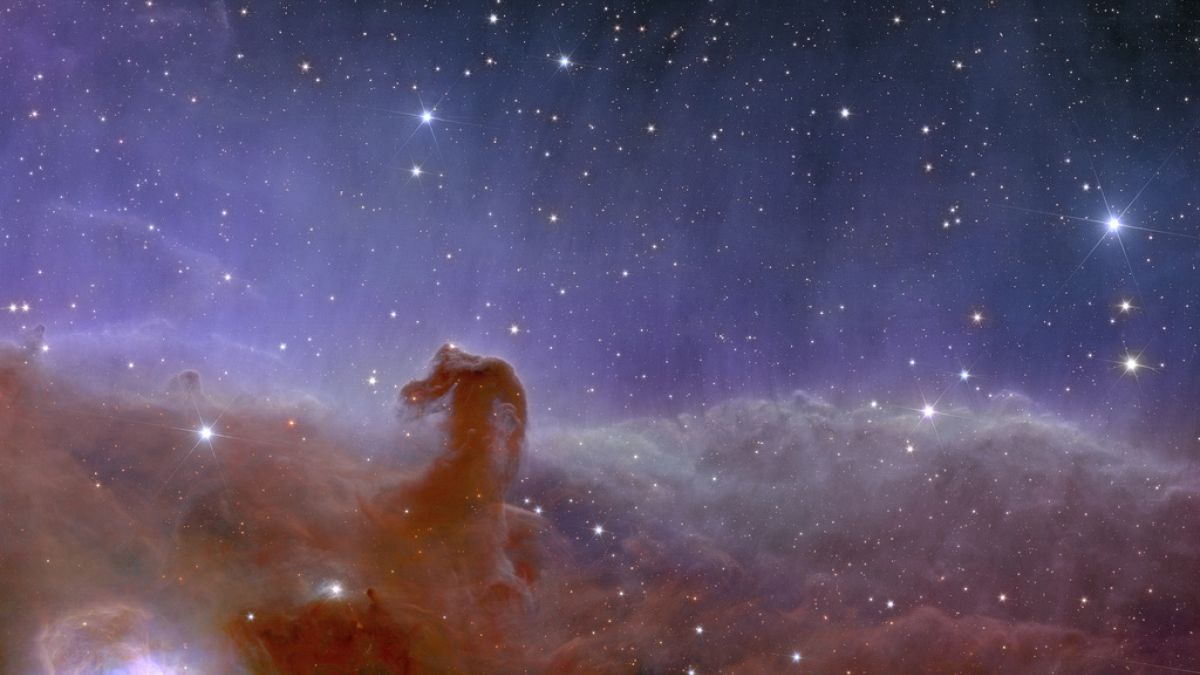  صورة قدمتها وكالة الفضاء الأوروبية لمشهد إقليدس البانورامي لسديم رأس الحصان. 7 نوفمبر 2023،