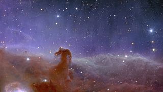  صورة قدمتها وكالة الفضاء الأوروبية لمشهد إقليدس البانورامي لسديم رأس الحصان. 7 نوفمبر 2023،