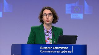  المتحدثة باسم المفوضية الأوروبية أنيتا هيبر