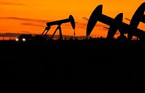 Oil Pump jacks work at dusk near Barnes City, Texas, Wednesday, 1 November 2023. 