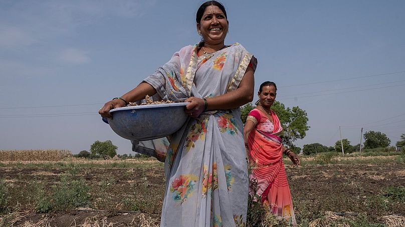 S4S Technologies combats food waste, rural poverty, and gender inequality by helping smallholder female farmers preserve and market surplus produce.
