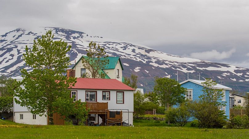 Hrísey, the second largest island in Iceland, is a birdwatcher's heaven.