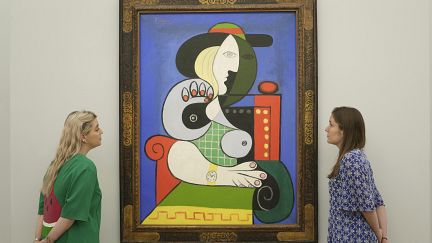 Video. Picasso sells for €130 million and breaks 2023 art auction