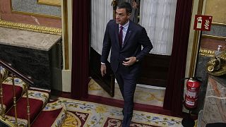 Исполняющий обязанности премьер-министра Испании Педро Санчес