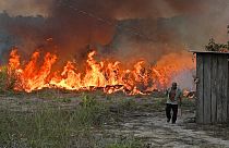 An elderly farmer who set fire to rainforest around his property walks away in an area of Amazon rainforest, south of Novo Progresso in Para state, Brazil, on August 15, 2020.