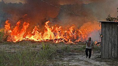 An elderly farmer who set fire to rainforest around his property walks away in an area of Amazon rainforest, south of Novo Progresso in Para state, Brazil, on August 15, 2020.