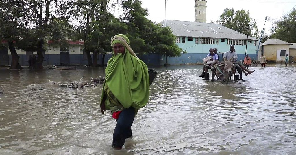 Somalia Faces Devastating Floods | Africanews