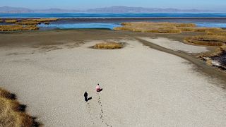 El lecho seco agrietado cerca de la orilla del lago Titicaca en época de sequía en Huarina, Bolivia.