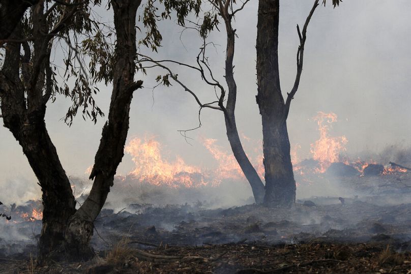 Un incendie près de Bredbo, au sud de la capitale australienne, Canberra, lors des incendies dévastateurs de 2020.