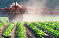 Una nueva investigación revela que los pesticidas se rocían sobre los cultivos con productos químicos para siempre.