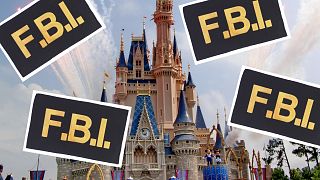 Disneyland Paris and FBI Stickers