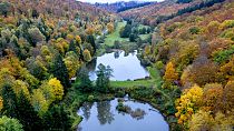 El follaje otoñal rodea dos estanques en un bosque de la región de Taunus, en Fráncfort, Alemania.