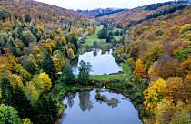 Bosque de Taunus, Alemanha