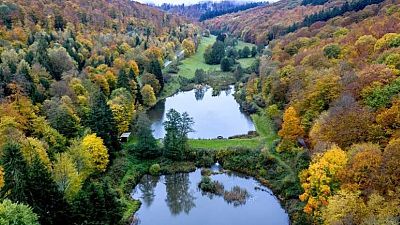 La legge punta a ripristinare almeno il 20% delle aree naturali terrestri e marittime dell'Ue entro il 2030