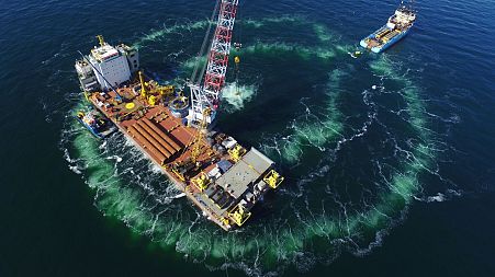 Bubble curtains shield marine life from noisy wind farm construction in the North Sea and Baltic Sea.
