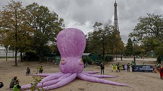 Der Riesenkrake auf dem Pariser Marsfeld am 10.11.23