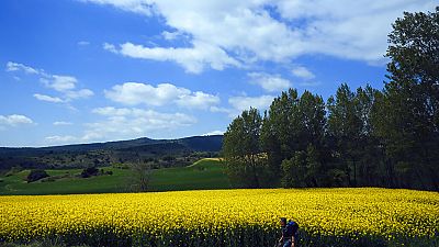 Un pèlerin marche dans la région de Pamplune en Espagne