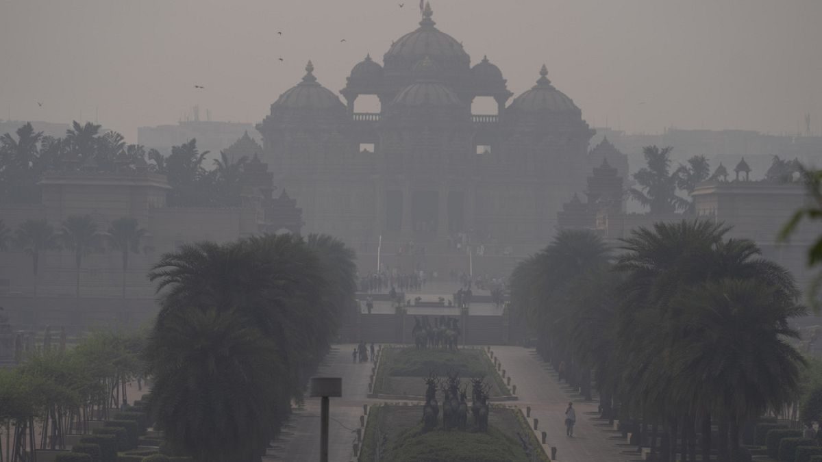 Облако токсичного дыма окутало Нью-Дели