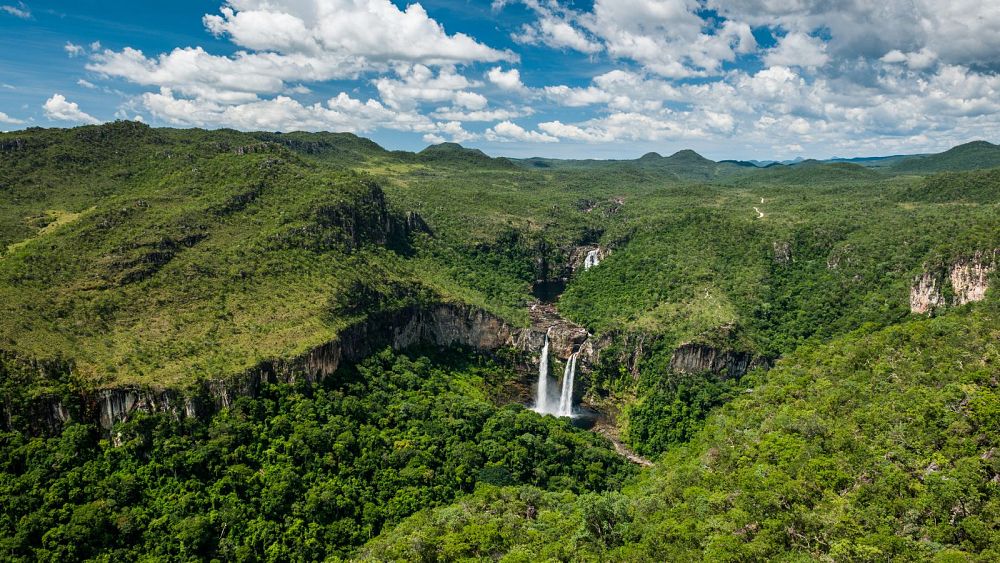 Има много повече за изследване в Бразилия отвъд гората на