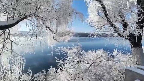 China frost