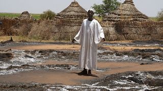 Sudan: Fears of ethnic cleansing mount in western region of Darfur