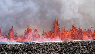 A volcano spews lava in Grindavik, Iceland, Wednesday, May 29, 2024. 