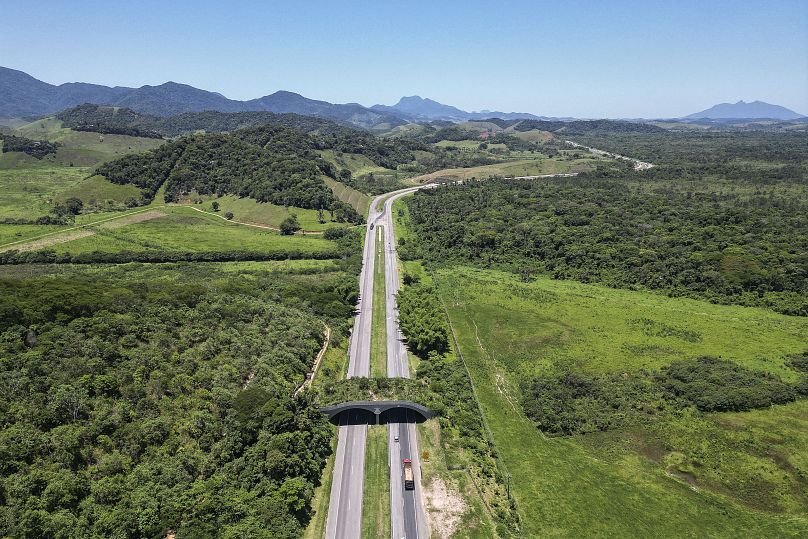 An aerial view of an ecological corridor that allows animals to cross over a highway in Silva Jardim, Rio de Janeiro.