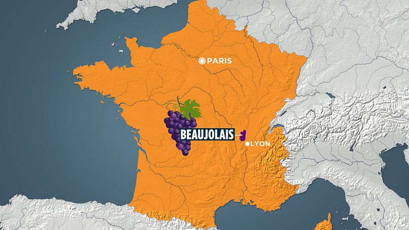 The Beaujolais region is situated just above Lyon, France's capital of gastronomy - and home to Euronews' headquarters.