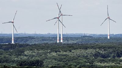 Wind turbines produce power as they turn at the green outskirts of Bottrop, Germany, in June.
