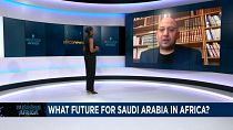 What is the future for Saudi Arabia in Africa? [BusinessAfrica]