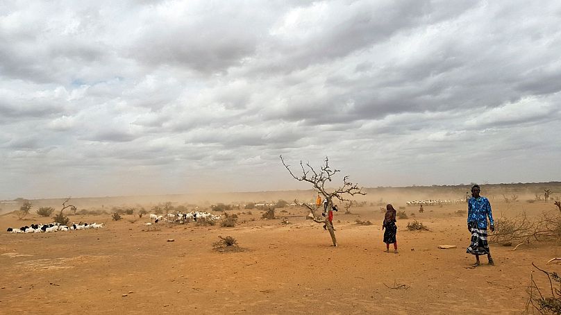 Dust clouds blow across the parched landscape in the Danan district of the Somali region of Ethiopia, 3 September 2017.