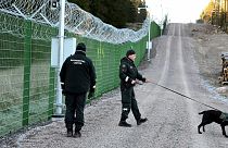 FILE: Members of the Finnish Border Guard agency (RAJA) with dog patrol along a section of the pilot border fence at Imatra, October 2023