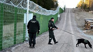 FILE: Members of the Finnish Border Guard agency (RAJA) with dog patrol along a section of the pilot border fence at Imatra, October 2023