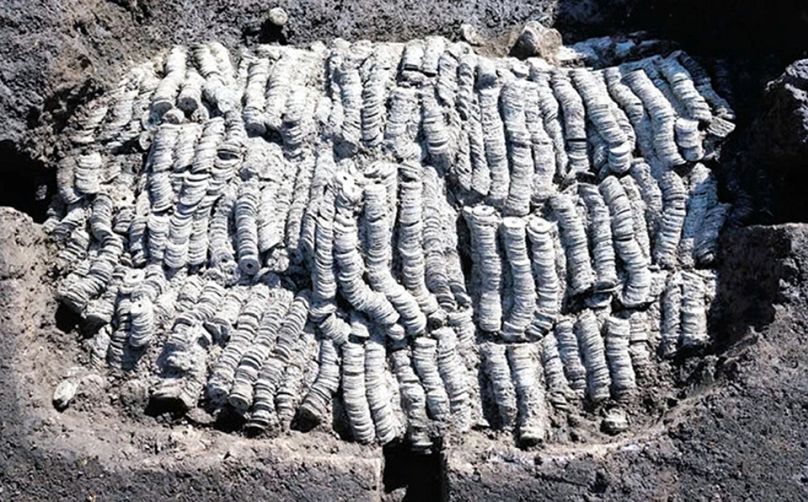 Japonya'da arkeologlar her biri 100 parça içeren 1060 deste sikke buldu. Sikkeler saman ipiyle paketlenmişti.