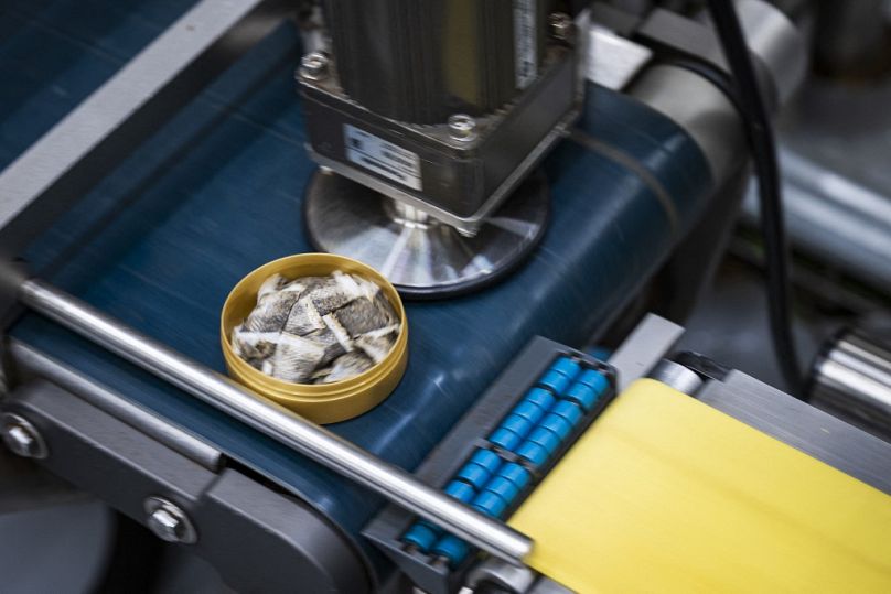 Swedish Match production line of portion Snus, a smokeless tobacco product that is placed under the upper lip, in the company's factory in Gothenburg, Sweden.