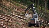 The EU wants companies to check supply chains are green
