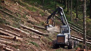  Европейски Съюз желае фирмите да ревизират дали веригите за доставки са зелени 