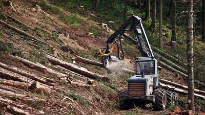The EU wants companies to check supply chains are green
