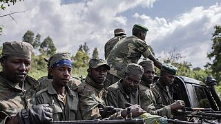 DRC: M23 rebels recapture Kishishe, where they are accused of a massacre in 2022 