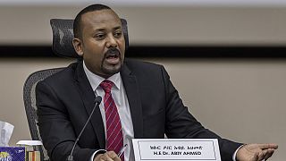 Ethiopian PM affirms "no plans for invasion over Red Sea ports access"