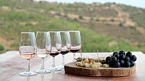 Wine and snacks, all in a day's work