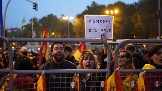 Tüntetők a spanyol parlament közelében 2023.11.15-én.