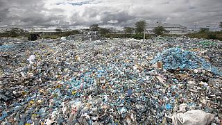 WWF report reveals stark disparities in plastic pollution impact