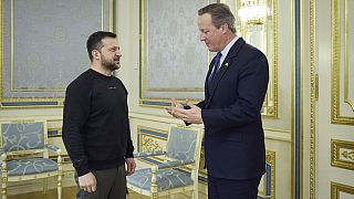 Zelenski y Cameron se reunieron en Ucrania.