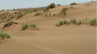 تپه‌های شنی بیابانی در خراسان جنوبی که گونه جدید از مارمولک‌ها در آن پیدا شد