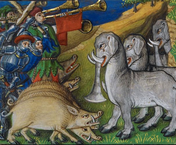 استفاده از خوک در نبرد در برابر فیل‌ها. نقاشی متعلق به قرن ۱۵ میلادی